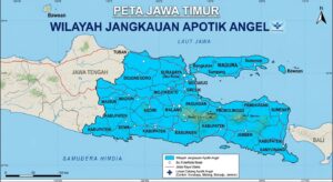 Peta wilayah Jawa Timur layanan pengiriman obat aborsi